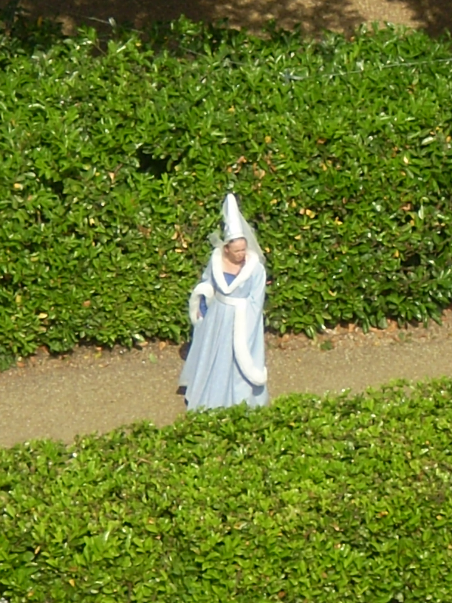 P8300152.JPG